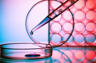 Vedanta Biosciences Closes Extended $45.5 Million Series C Financing
