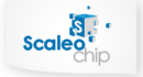 Scaleo Chip