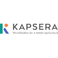 Kapsera